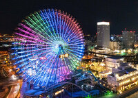 [Christmas Limited] Celebrate Dinner Course 2025