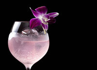 Monthly Cocktail August