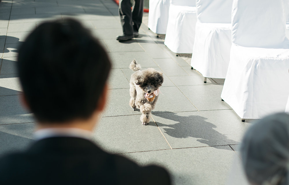 Wedding Report